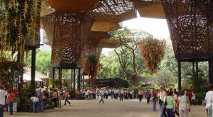 Jardín Botánico de Medellín