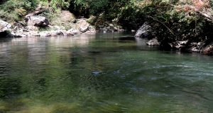 Reserva Natural Cañón Del Río Claro