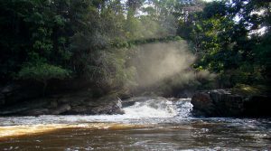 Parque Nacional Natural Río Puré