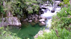 Parque Nacional Natural Tatamá