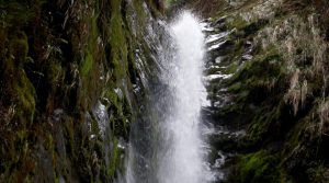 Parque Nacional Natural Tatamá