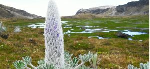 Parque Nacional Natural Los Nevados