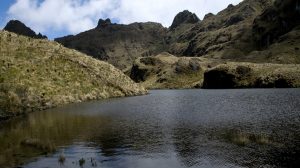 Parque Nacional Natural Las Hermosas Gloria Valencia de Castaño