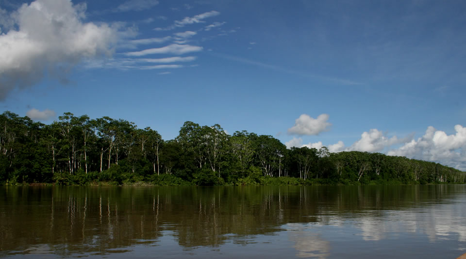Parque Nacional Natural Amacayacu
