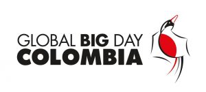 global big day