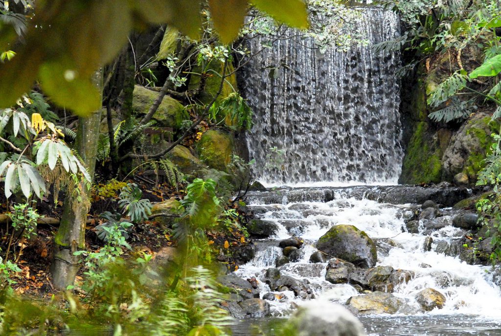 Jardín Botánico de Bogotá