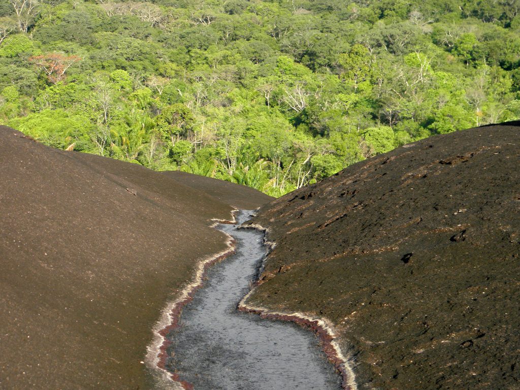 El Tuparro