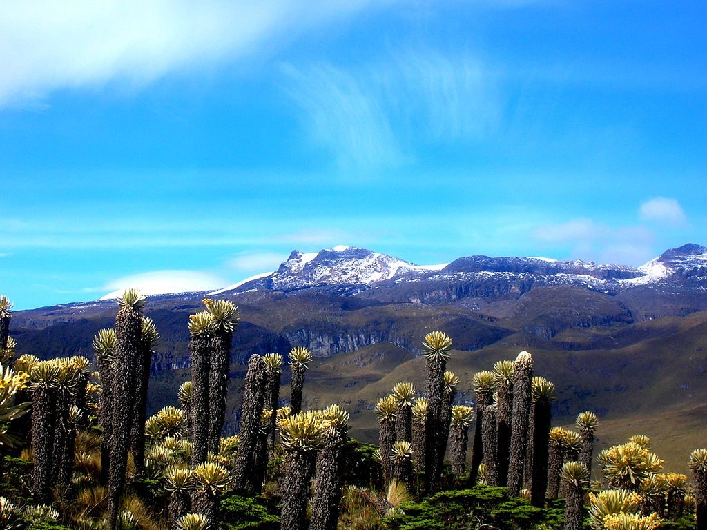 Nevados En Colombia Cu Les Son Los M S Altos