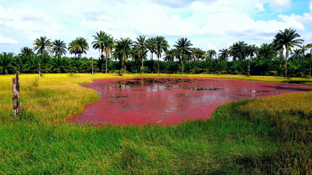 Laguna Rosa