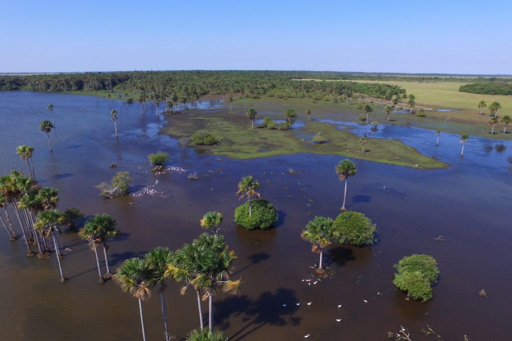 Laguna Rosa