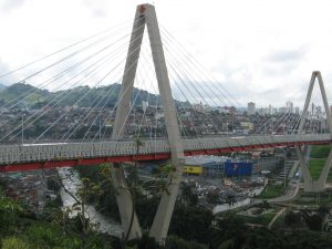 pereira