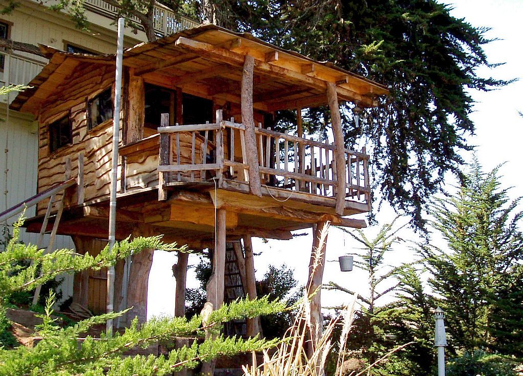 casa del árbol