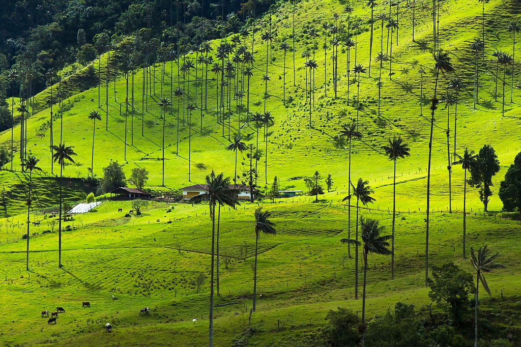La Serrana