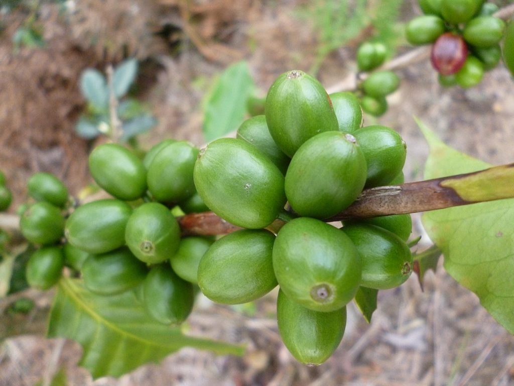 La Serrana