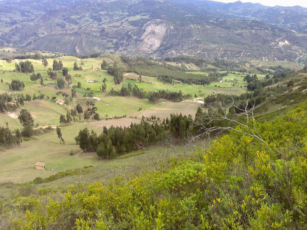 Corrales