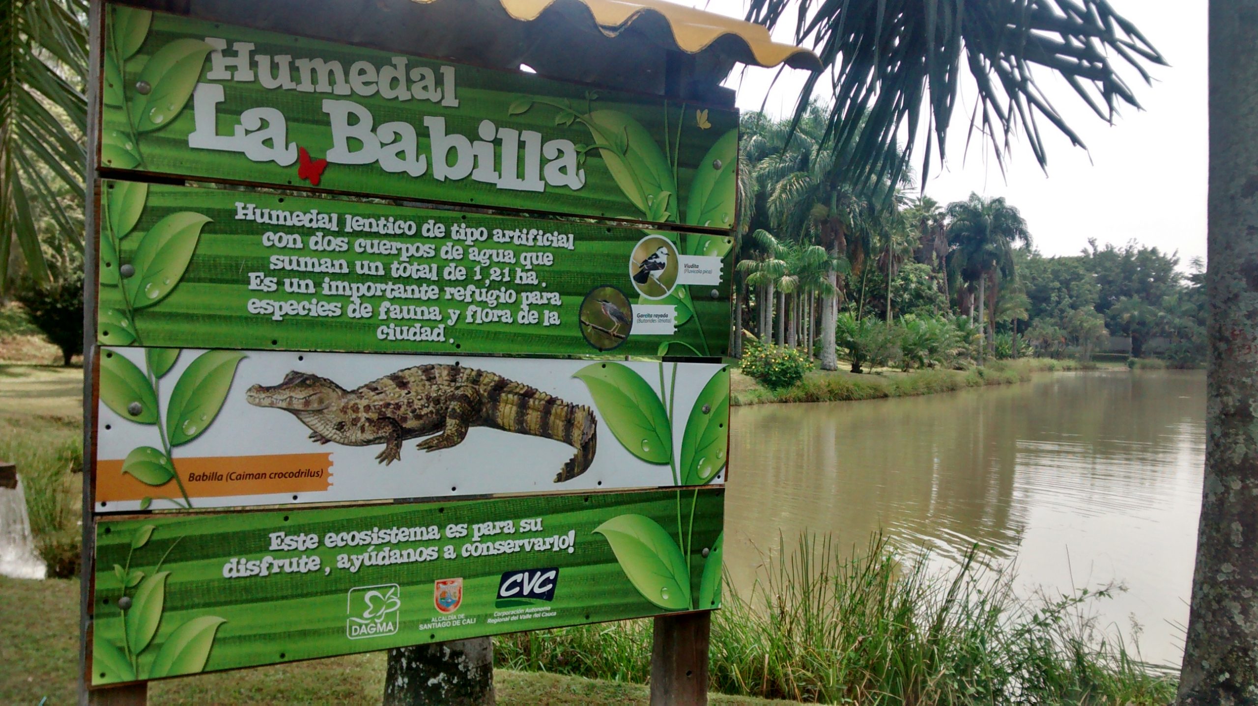 babilla