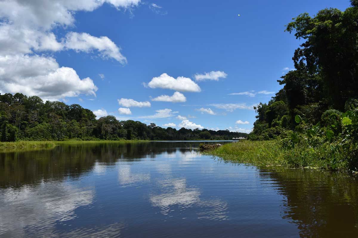 Puentes de junio- Amazonas Colombiano. Foto: colreservas.com