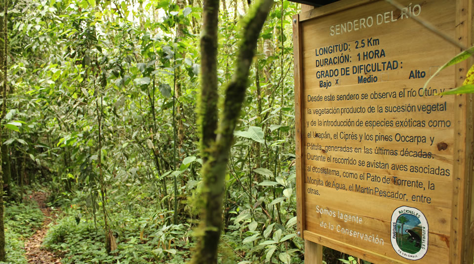 flora y fauna colombiana