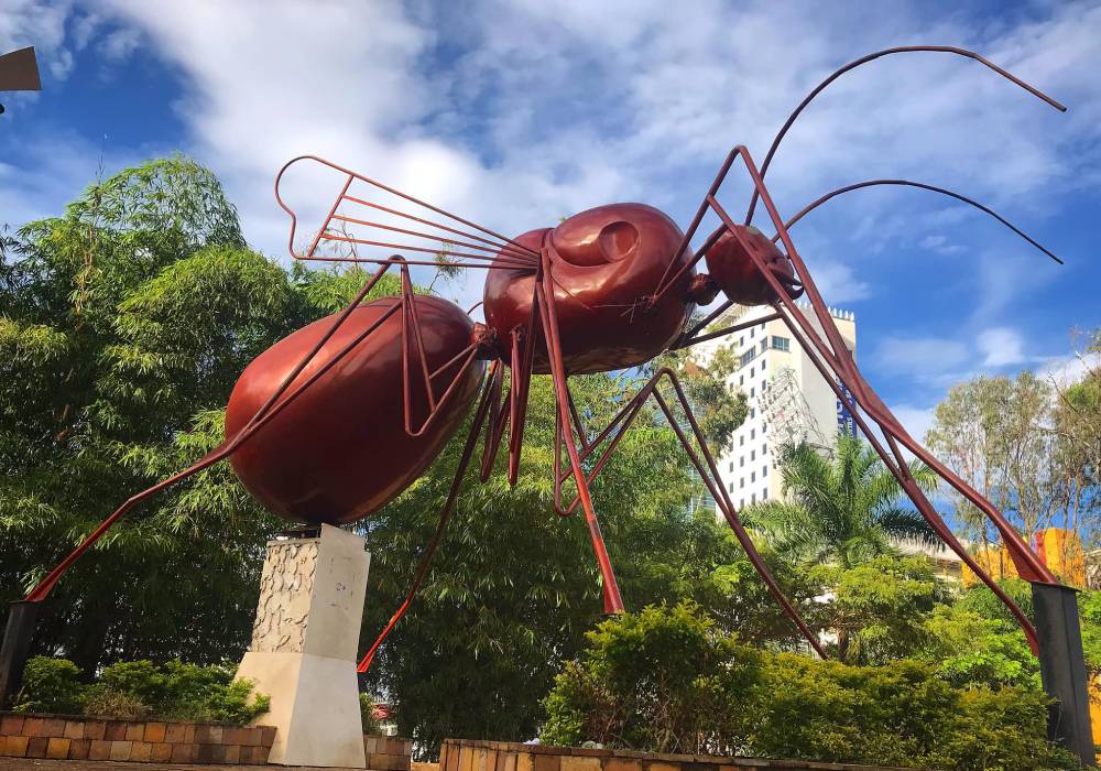 Escultura gigante de la hormiga culona, Bucaramanga. Viaja en bus