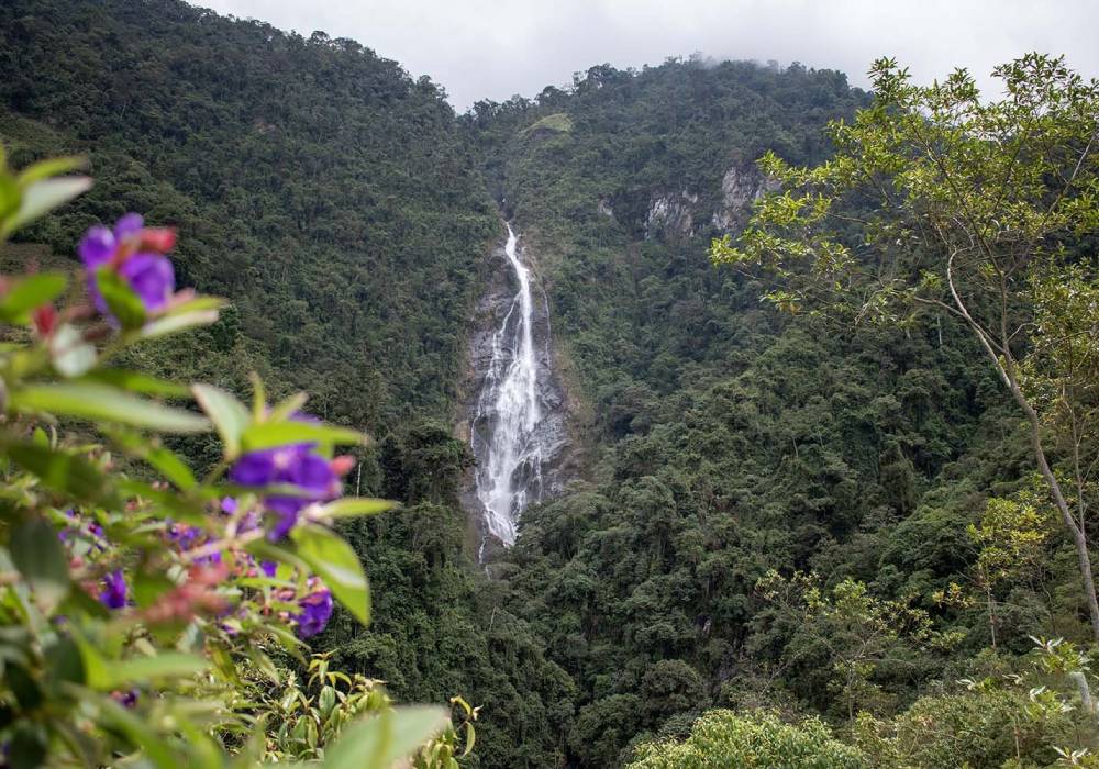 Cascada La Plata - Tolima Travel