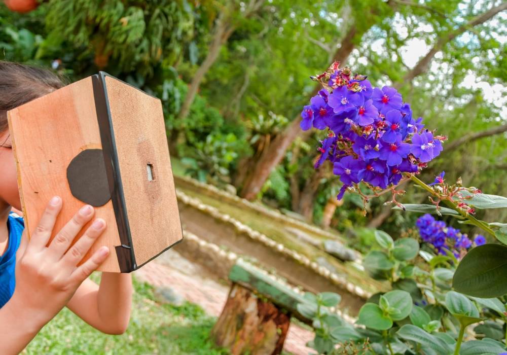 Fotografía en el Jardín Botánico Eloy Valenzuela - Tiquetes de bus