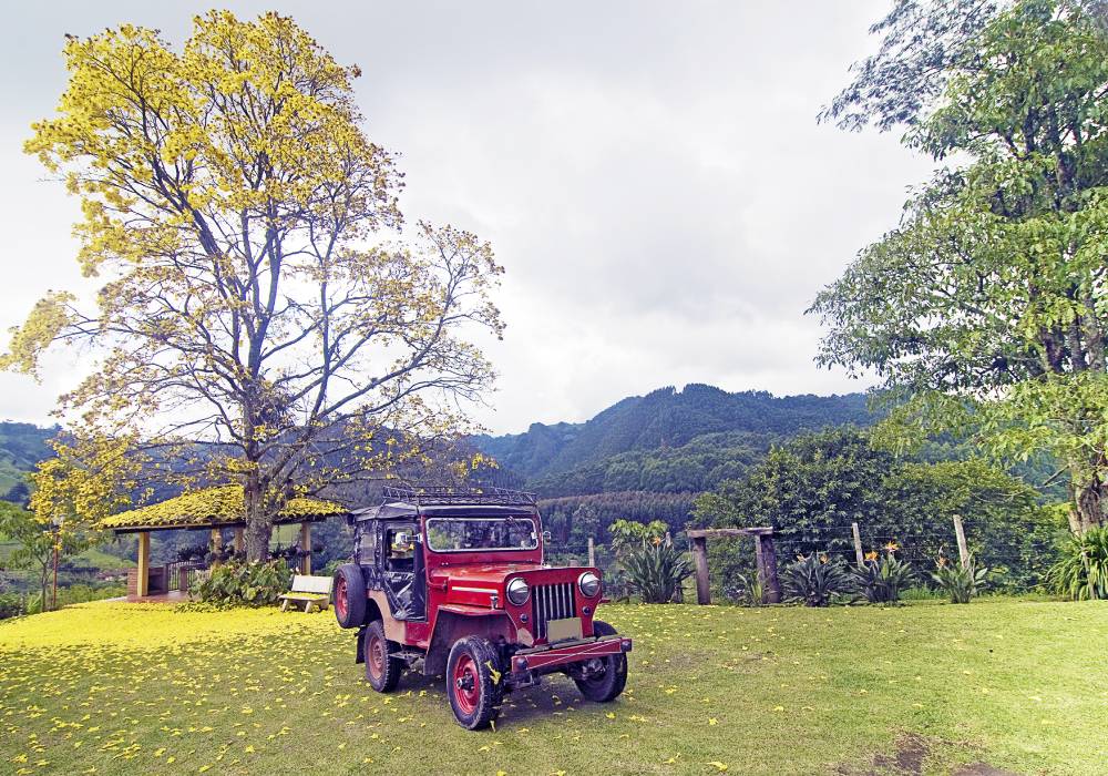 Los Willys - Salento, Colombia. 