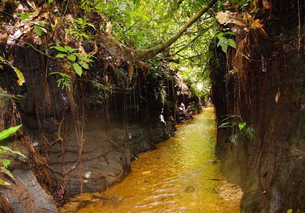 Reserva Natural y Ecoturística Las Dalias, Caquetá.