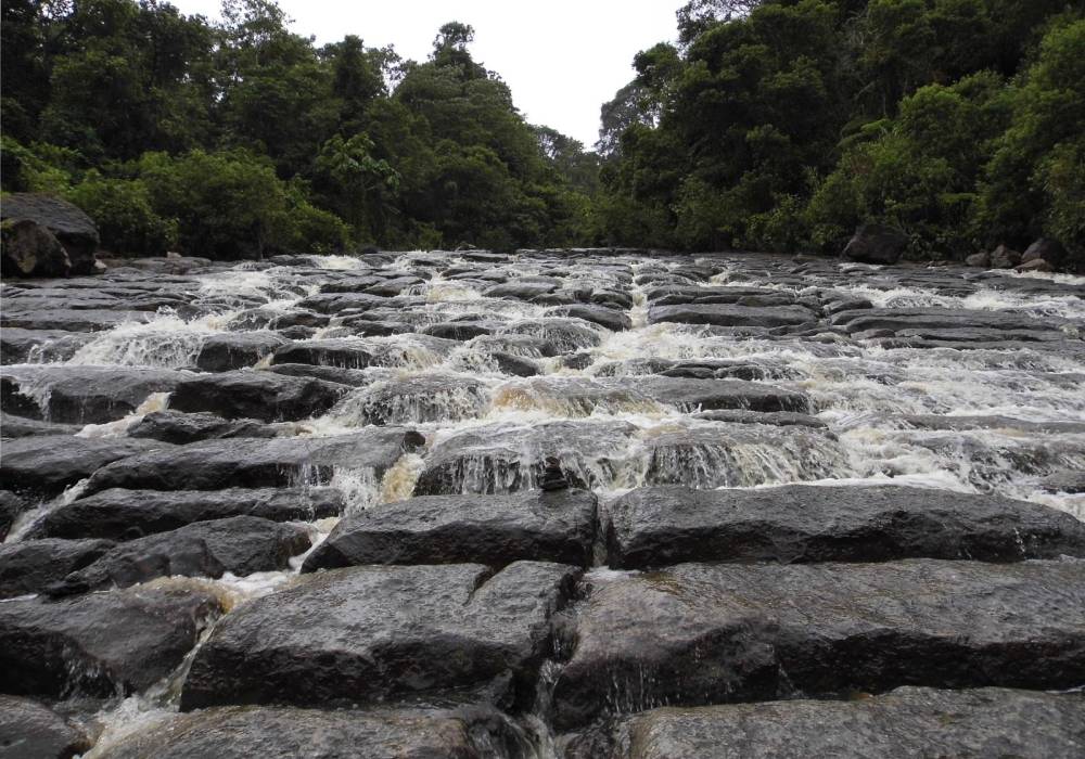 Parque Nacional Natural Cueva de los Guácharos, Florencia, Caquetá.