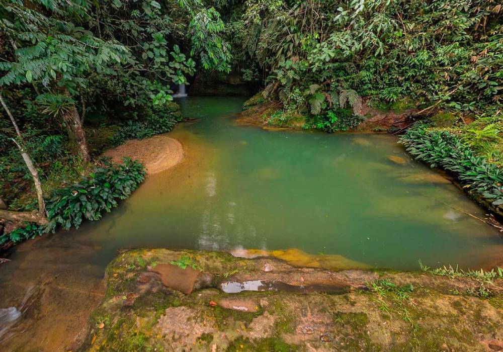 Reserva Natural El Danubio de Florencia, Caquetá - Viaja en bus