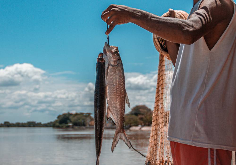 pesca ronda del sinú monteria