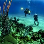 divers-scuba-reef-underwater-37542