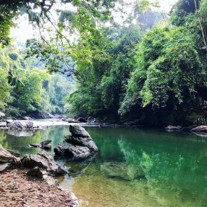 reserva natural cañón del río claro