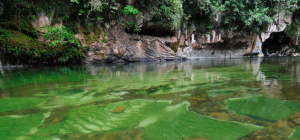 Reserva Natural Cañón Del Río Claro, Colombia