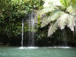 reserva natural cañón del río claro