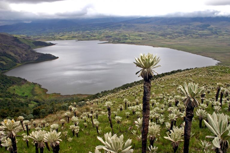 Santuario de Flora y Fauna Galeras