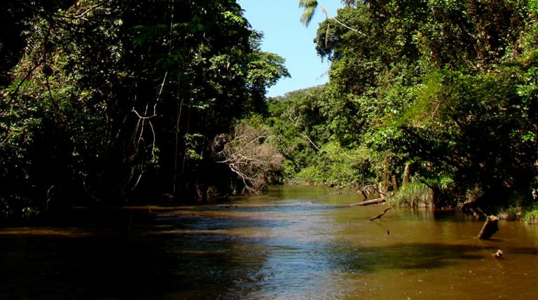 Parque Natural Río Puré