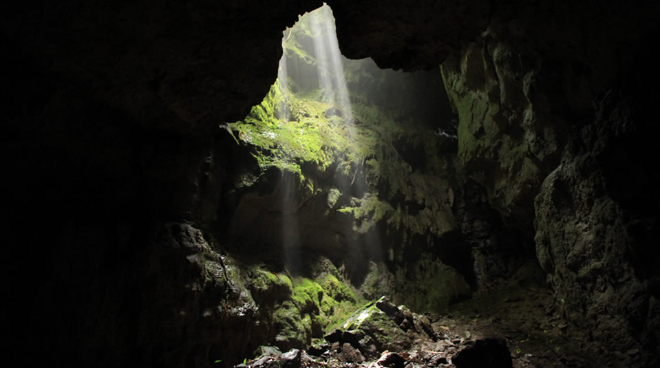 Parque Nacional Natura Cueva de los Guácharos