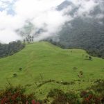 Santuario-de-Fauna-y-Flora-Galeras-700×525