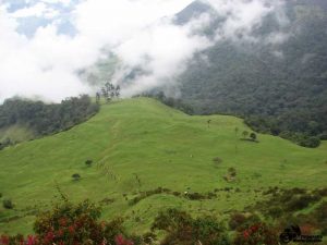 Santuario de Flora y Fauna Galeras
