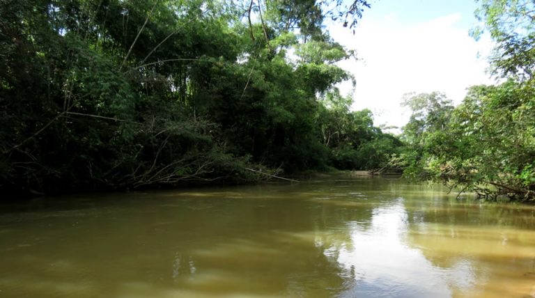 Parque Nacional Natural Tinigua