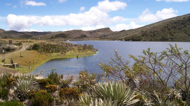 Parque Nacional Natural Sumapaz