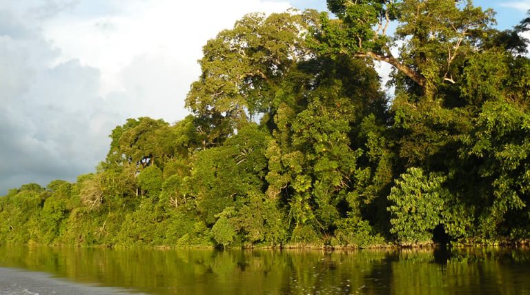 Parque Nacional Natural Cahuinarí