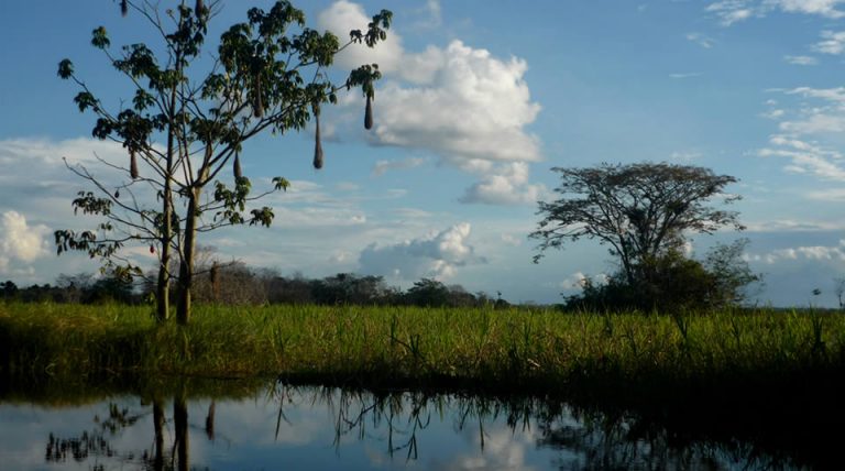 ¿Qué puedes encontrar en el Parque Nacional Natural La Paya?