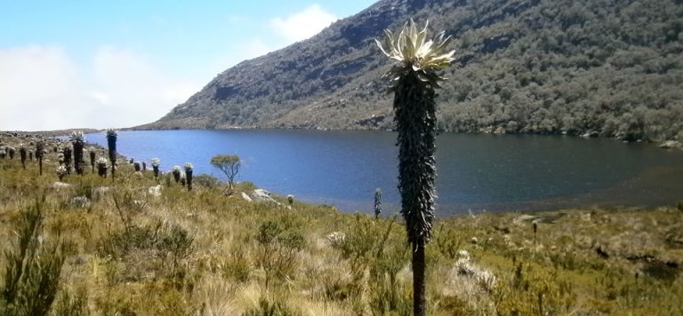 Santuario de flora y fauna Guanentá Alto Río Fonce