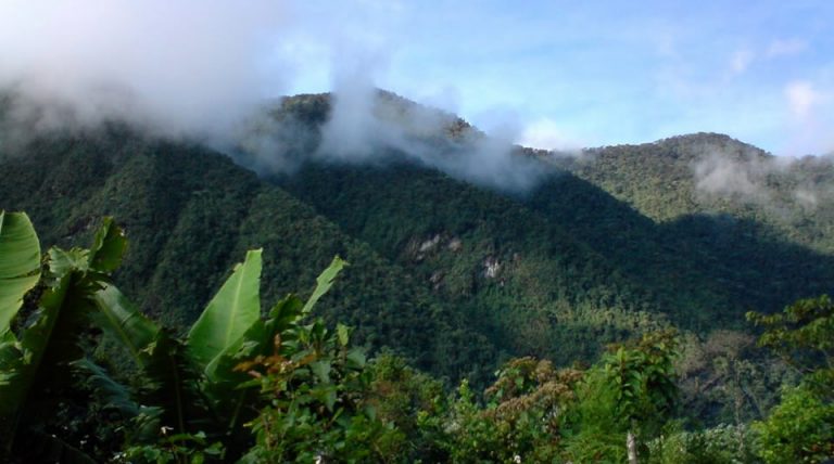 Parque Nacional Natural Farallones de Cali