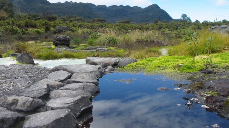 Parque Nacional Natural Puracé