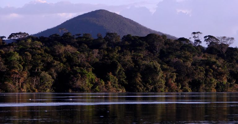 Reserva Nacional Natural Puinawai