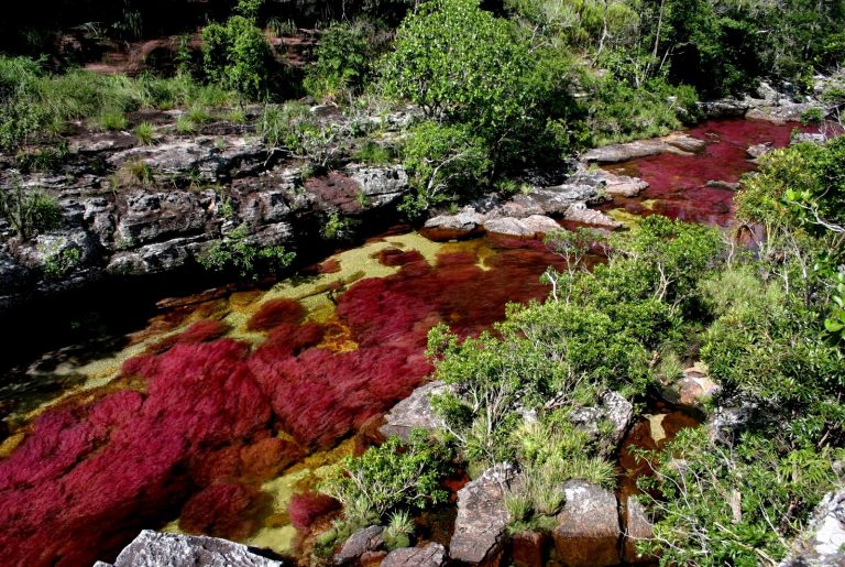 Parque Nacional Natural Sierra de la Macarena