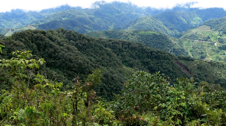 Parque Nacional Natural Munchique