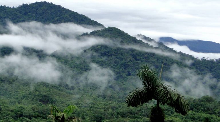 ¿Por qué visitar el Parque Nacional Natural Alto Fragua Indi Wasi?